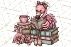 Flamingo Librarian Reading Clipart PNG Product Image 4