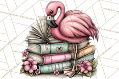 Flamingo Librarian Reading Clipart PNG Product Image 4
