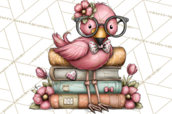Flamingo Librarian Reading Clipart PNG Product Image 5