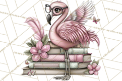 Flamingo Librarian Reading Clipart PNG Product Image 4