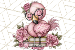 Flamingo Librarian Reading Clipart PNG Product Image 4