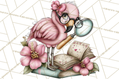 Flamingo Librarian Reading Clipart PNG Product Image 5