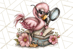 Flamingo Librarian Reading Clipart PNG Product Image 2