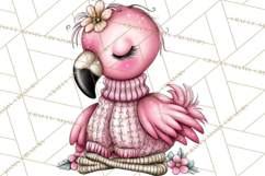Flamingo Librarian Reading Clipart PNG Product Image 2