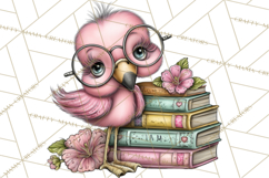 Flamingo Librarian Reading Clipart PNG Product Image 3