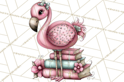 Flamingo Librarian Reading Clipart PNG Product Image 4