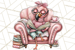 Flamingo Librarian Reading Clipart PNG Product Image 5