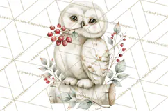 Watercolor Christmas Clipart PNG, Holiday Graphics PNG Product Image 3