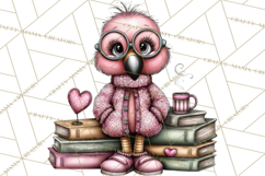 Flamingo Librarian Reading Clipart PNG Product Image 2