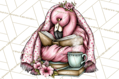 Flamingo Librarian Reading Clipart PNG Product Image 4