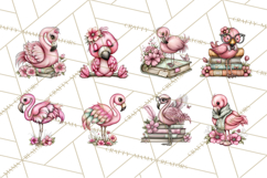 Flamingo Librarian Reading Clipart PNG Product Image 5