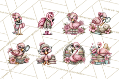 Flamingo Librarian Reading Clipart PNG Product Image 6