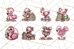 Flamingo Librarian Reading Clipart PNG Product Image 7