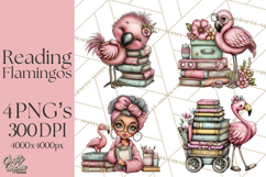 Flamingo Librarian Reading Clipart PNG Product Image 1