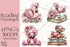 Flamingo Librarian Reading Clipart PNG Product Image 1