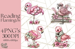 Flamingo Librarian Reading Clipart PNG Product Image 1