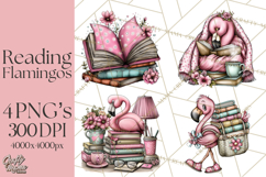 Flamingo Librarian Reading Clipart PNG Product Image 1