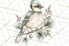 Watercolor Christmas Clipart PNG, Holiday Graphics PNG Product Image 2