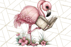 Flamingo Librarian Reading Clipart PNG Product Image 5