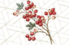 Vintage Christmas Decorative Elements PNG Clipart Product Image 4