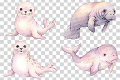 Aquatic Cuties Sea Animal | Watercolor Mermaid Pink PNG Product Image 7
