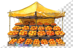 Orange | Watercolor fresh citrus fruit farm harvest png Clip Product Image 7