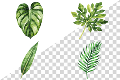 Tropical Green Leaves | Watercolor Botanical Foliage Clipart Product Image 7