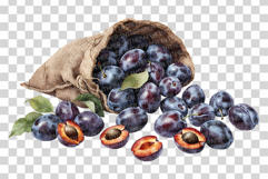 Plum PNG | Watercolor Fruit Clipart Purple Violet Splash Product Image 7