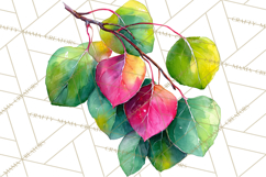 Watercolor Wine Clipart, Drinking Wine Png, Sublimation Product Image 5