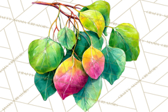 Watercolor Wine Clipart, Drinking Wine Png, Sublimation Product Image 2