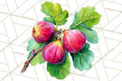 Watercolor Wine Clipart, Drinking Wine Png, Sublimation Product Image 3