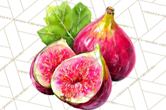 Watercolor Wine Clipart, Drinking Wine Png, Sublimation Product Image 5