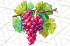 Watercolor Wine Clipart, Drinking Wine Png, Sublimation Product Image 3