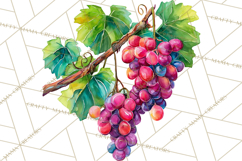 Watercolor Wine Clipart, Drinking Wine Png, Sublimation Product Image 4