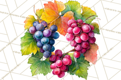 Watercolor Wine Clipart, Drinking Wine Png, Sublimation Product Image 2