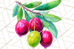 Watercolor Wine Clipart, Drinking Wine Png, Sublimation Product Image 5