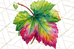 Watercolor Wine Clipart, Drinking Wine Png, Sublimation Product Image 2