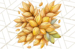 Beer Watercolor Clipart, Beer PNG, Beer Mug, Beer Bottle Product Image 3