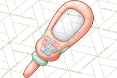 School Nurse Kawaii Clipart Product Image 2