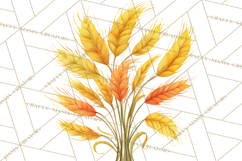 Beer Watercolor Clipart, Beer PNG, Beer Mug, Beer Bottle Product Image 3