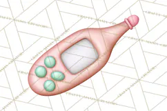 School Nurse Kawaii Clipart Product Image 2