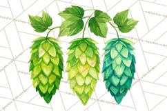 Beer Watercolor Clipart, Beer PNG, Beer Mug, Beer Bottle Product Image 4