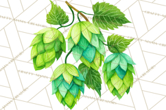 Beer Watercolor Clipart, Beer PNG, Beer Mug, Beer Bottle Product Image 5