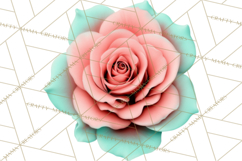 Botanical Books Clipart PNG Cottagecore Reading Florals Product Image 2