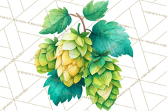 Beer Watercolor Clipart, Beer PNG, Beer Mug, Beer Bottle Product Image 3