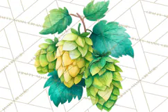 Beer Watercolor Clipart, Beer PNG, Beer Mug, Beer Bottle Product Image 3