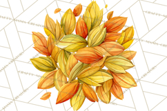 Beer Watercolor Clipart, Beer PNG, Beer Mug, Beer Bottle Product Image 2