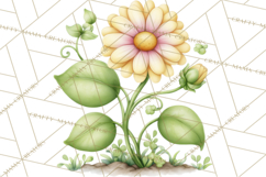 Spring Woodland Critter Clipart PNG, Spring Png Product Image 3