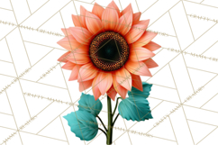 Botanical Books Clipart PNG Cottagecore Reading Florals Product Image 2