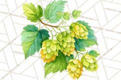 Beer Watercolor Clipart, Beer PNG, Beer Mug, Beer Bottle Product Image 4